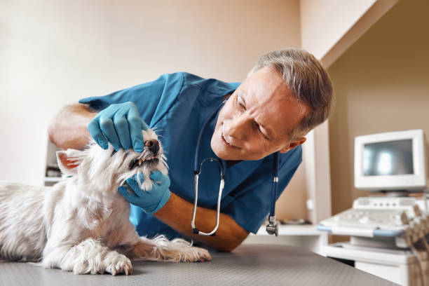 Best Emergency Care for Gum Disease in Brielle, NJ